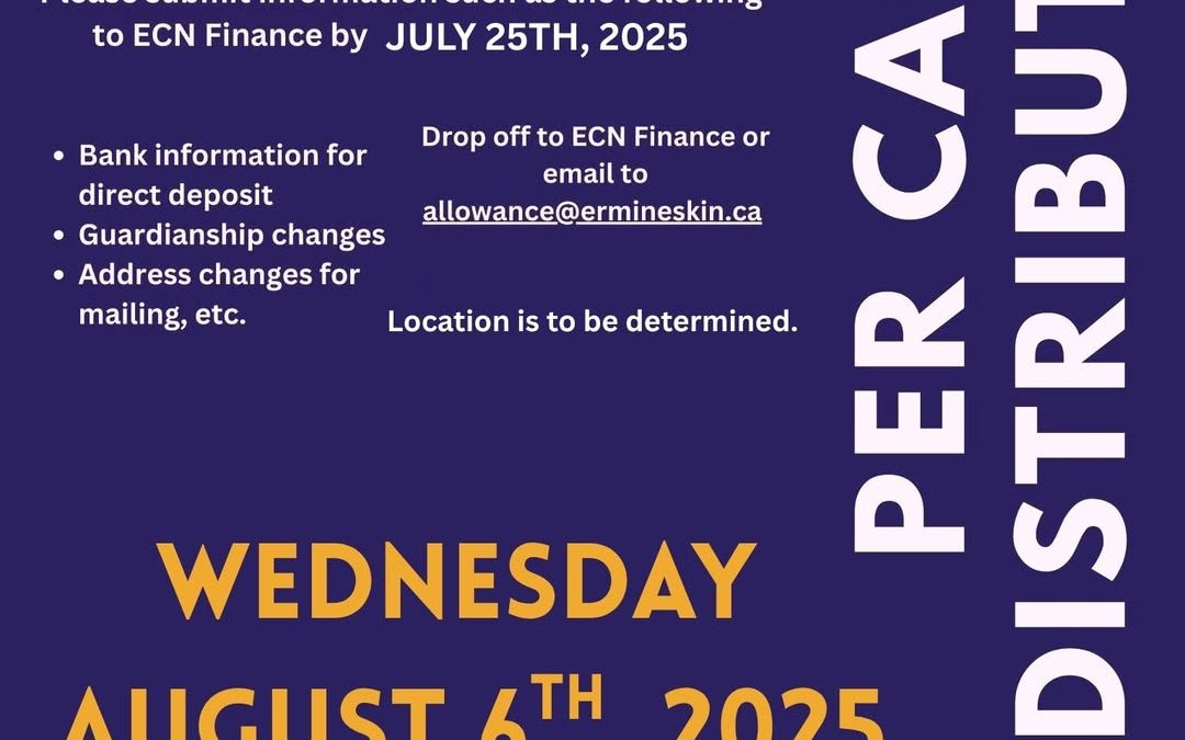 What Day Will Emergency Food Stamps Be Deposited: Timely Insights